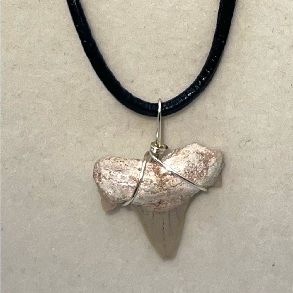Real‎ Fossilized Shark Tooth Pendant Necklace Leather Cord Jewelry